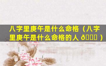 八字里庚午是什么命格（八字里庚午是什么命格的人 🐈 ）